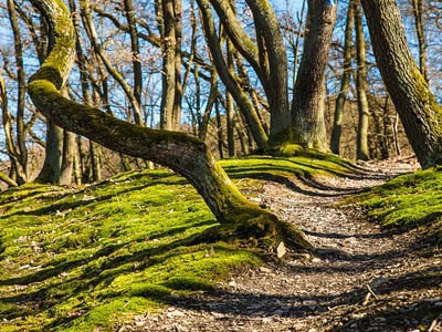 无限拨打手机号软件